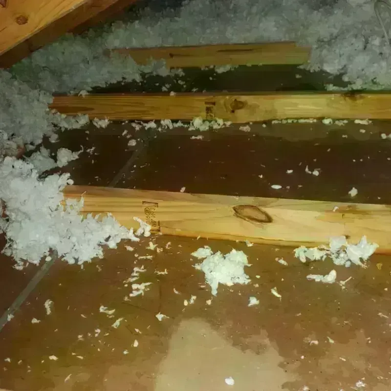 Attic Water Damage in Milford, CT